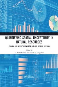 bokomslag Quantifying Spatial Uncertainty in Natural Resources
