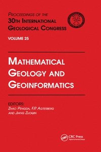 bokomslag Mathematical Geology and Geoinformatics