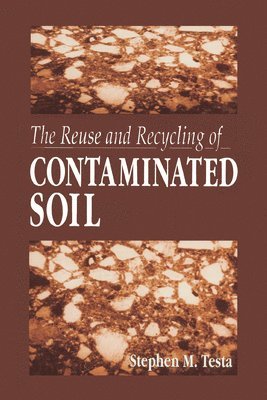 bokomslag The Reuse and Recycling of Contaminated Soil