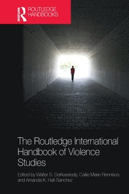 bokomslag The Routledge International Handbook of Violence Studies