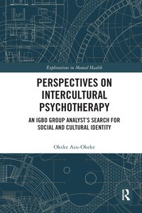 bokomslag Perspectives on Intercultural Psychotherapy