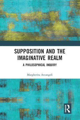 Supposition and the Imaginative Realm 1