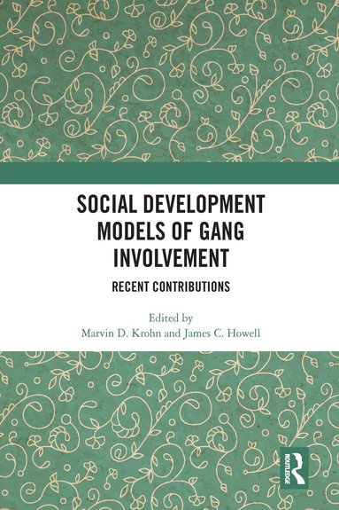 Marvin D. Krohn, James C. Howell - Social Development Models of Gang Involvement, Häftad