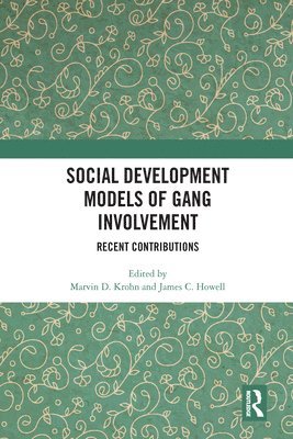 bokomslag Social Development Models of Gang Involvement