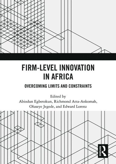 bokomslag Firm-Level Innovation In Africa