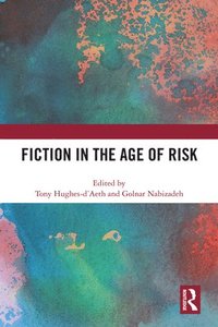 bokomslag Fiction in the Age of Risk