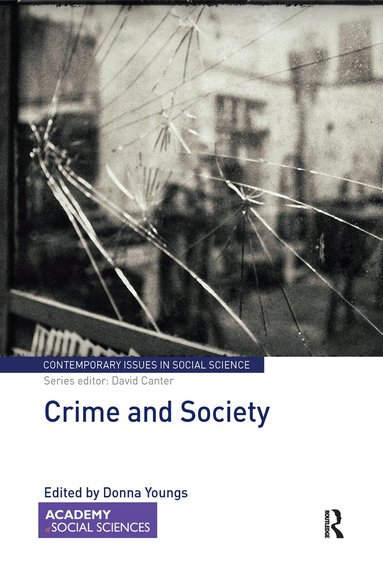 Donna Youngs - Crime and Society, Häftad