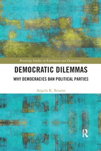 bokomslag Democratic Dilemmas