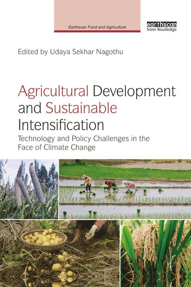 bokomslag Agricultural Development and Sustainable Intensification