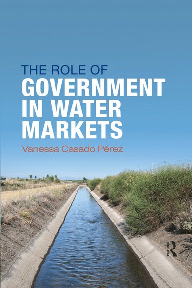 bokomslag Role of Government in Water Markets
