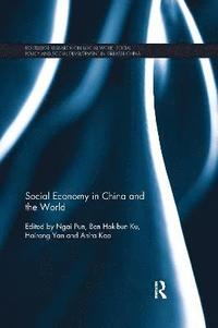 bokomslag Social Economy in China and the World