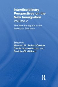 bokomslag The New Immigrant in the American Economy