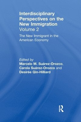 Marcelo M. Suárez-Orozco, Carola Suárez-Orozco, Desirée Qin-Hilliard, Marcelo M. Suarez-Orozco, Carola Suarez-Orozco, Desiree Qin-Hilliard - New Immigrant in the American Economy, Häftad