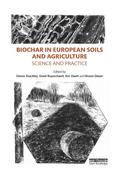 bokomslag Biochar in European Soils and Agriculture