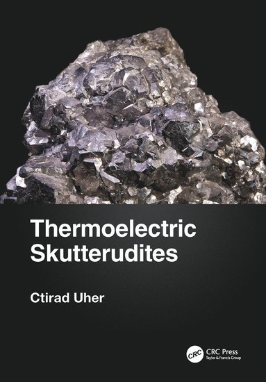 bokomslag Thermoelectric Skutterudites