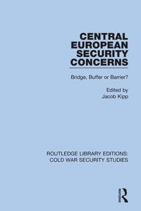 bokomslag Central European Security Concerns