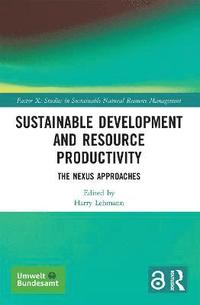 bokomslag Sustainable Development and Resource Productivity