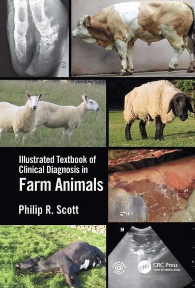 bokomslag Illustrated Textbook of Clinical Diagnosis in Farm Animals