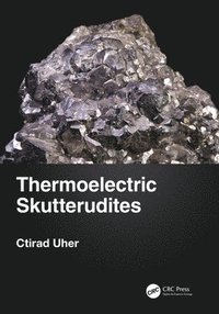 bokomslag Thermoelectric Skutterudites
