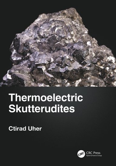 bokomslag Thermoelectric Skutterudites