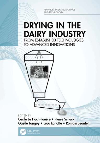 Cécile Le Floch-Fouéré, Pierre Schuck, Gaëlle Tanguy, Luca Lanotte, Romain Jeantet - Drying in the Dairy Industry, Häftad