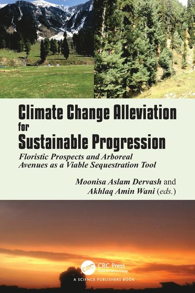 bokomslag Climate Change Alleviation for Sustainable Progression