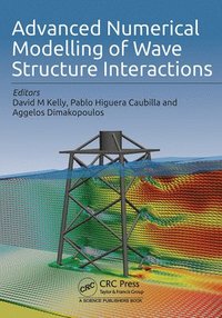 bokomslag Advanced Numerical Modelling of Wave Structure Interaction