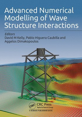 David M Kelly, Angelos Dimakopoulos, Pablo Higuera Caubilla, David M. Kelly - Advanced Numerical Modelling of Wave Structure Interaction, Häftad