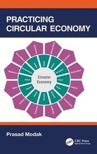 bokomslag Practicing Circular Economy