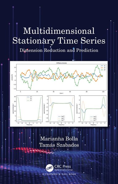 bokomslag Multidimensional Stationary Time Series