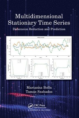 Multidimensional Stationary Time Series 1