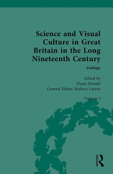 bokomslag Science and Visual Culture in Great Britain in the Long Nineteenth Century