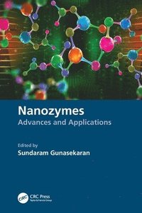 bokomslag Nanozymes