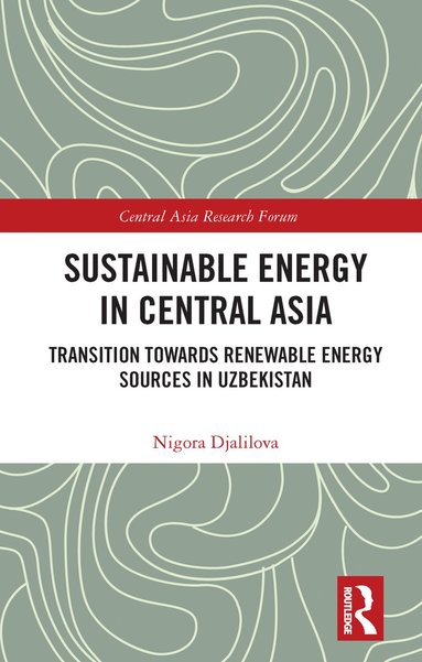 bokomslag Sustainable Energy in Central Asia