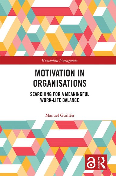 Manuel Guillen - Motivation in Organisations, Häftad