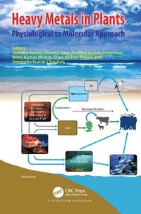 bokomslag Heavy Metals in Plants