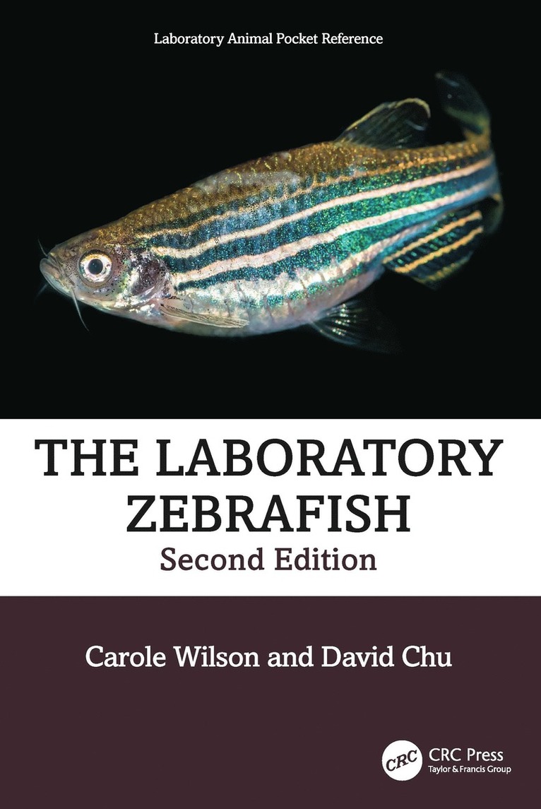 Laboratory Zebrafish