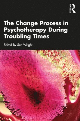 bokomslag The Change Process in Psychotherapy During Troubling Times