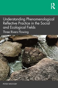 bokomslag Understanding Phenomenological Reflective Practice in the Social and Ecological Fields