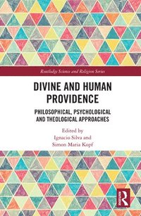 bokomslag Divine and Human Providence