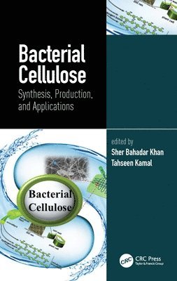 Bacterial Cellulose 1