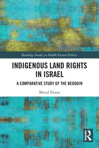 bokomslag Indigenous Land Rights in Israel