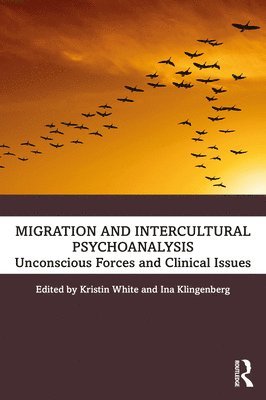 bokomslag Migration and Intercultural Psychoanalysis