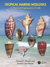 bokomslag Tropical Marine Mollusks