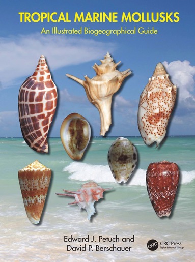 bokomslag Tropical Marine Mollusks