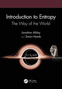 bokomslag Introduction to Entropy