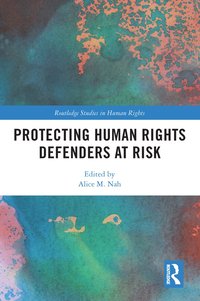 bokomslag Protecting Human Rights Defenders at Risk