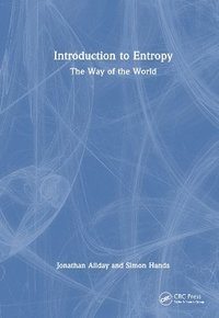 bokomslag Introduction to Entropy