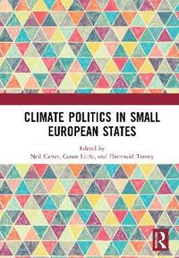 bokomslag Climate Politics in Small European States