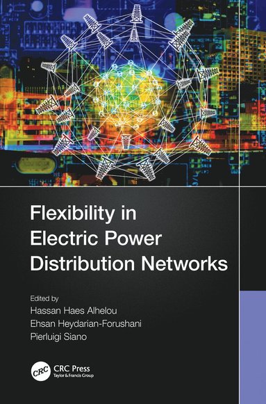 bokomslag Flexibility in Electric Power Distribution Networks